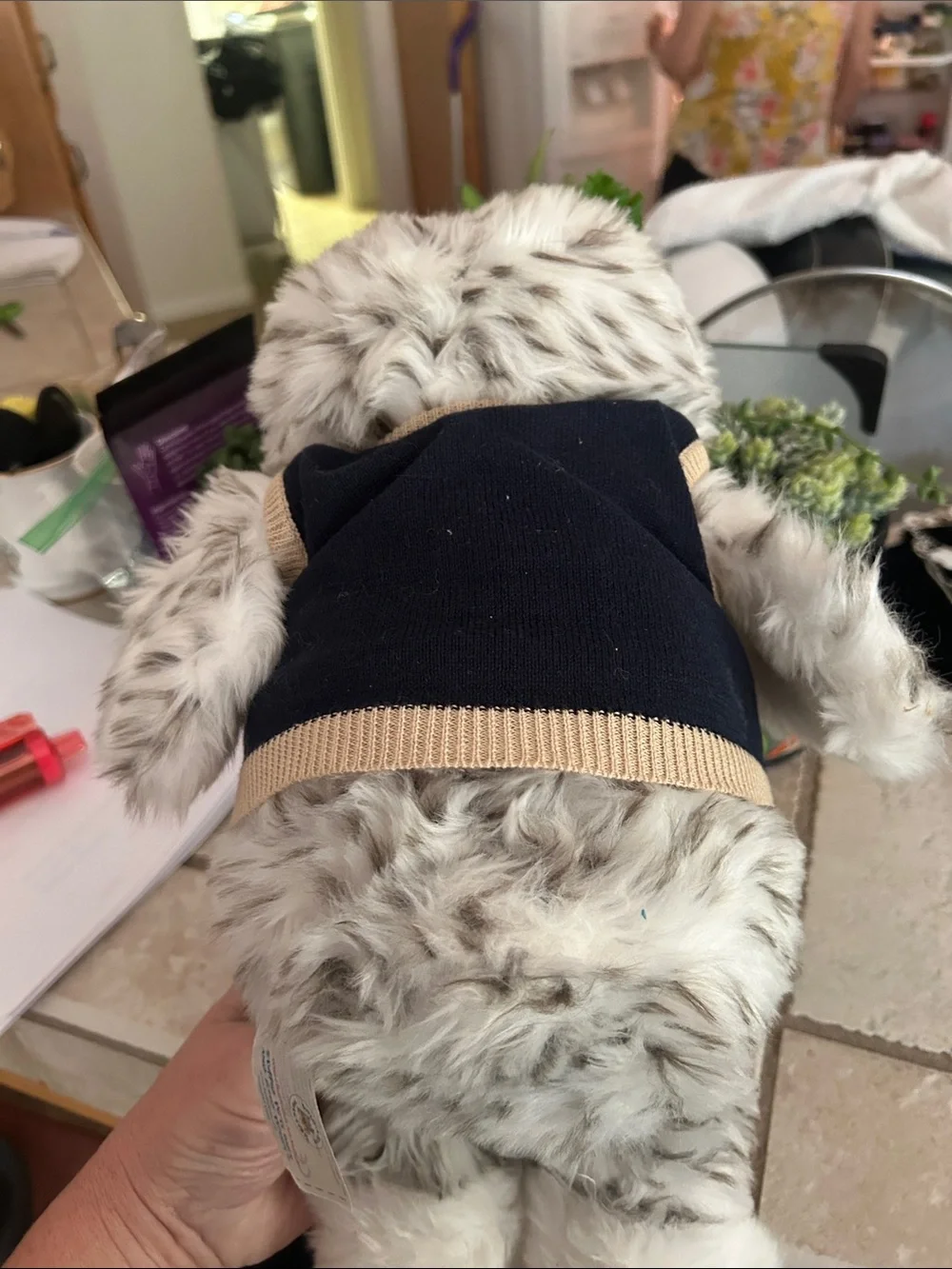 Harry Potter Build-A-Bear White and Gray Owl with Navy Vest and Green Argyle